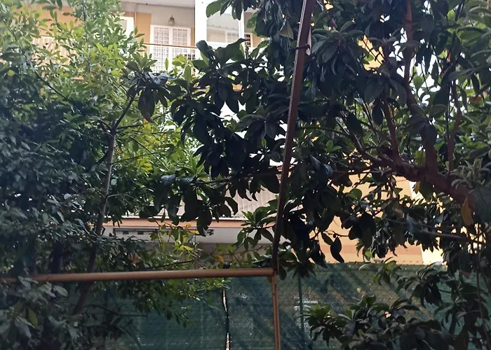 Casaterry Metroa-battistini-vaticano-termini Apartment Rom